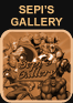 sepis-gallery