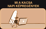Mi a kacsa