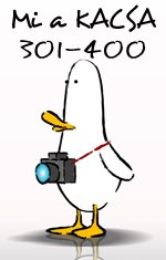 whattheduck-301-400