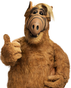 alf hir